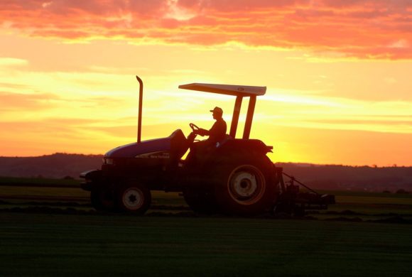 Les apprentis agriculteurs n’en peuvent plus ! – Revue de presse POP